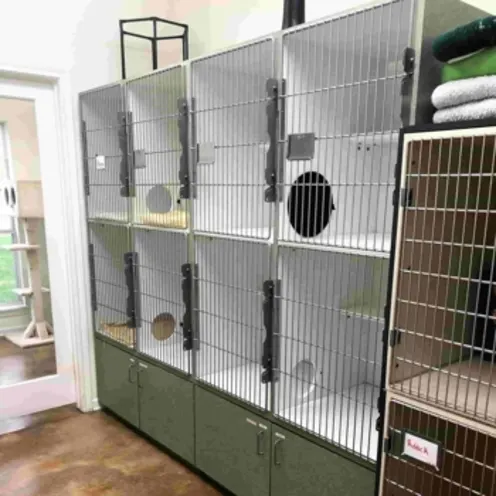 Six kennels for cat boarding at Shady Brook Animal Hospital